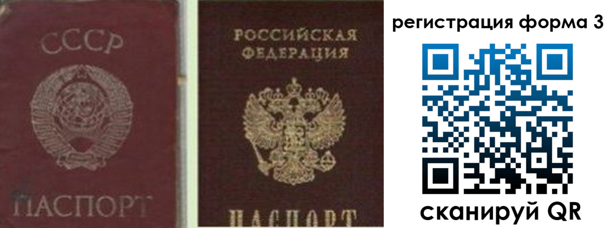 прописка для школы в Рыбном
